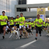 Pet Express Doggie Run 2012 Philippines. Jpg (27).JPG