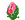rosinhaeu2 rosinhaeu2