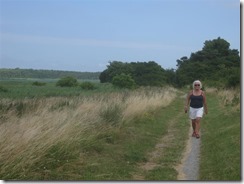 IMG_2313 (Medium)