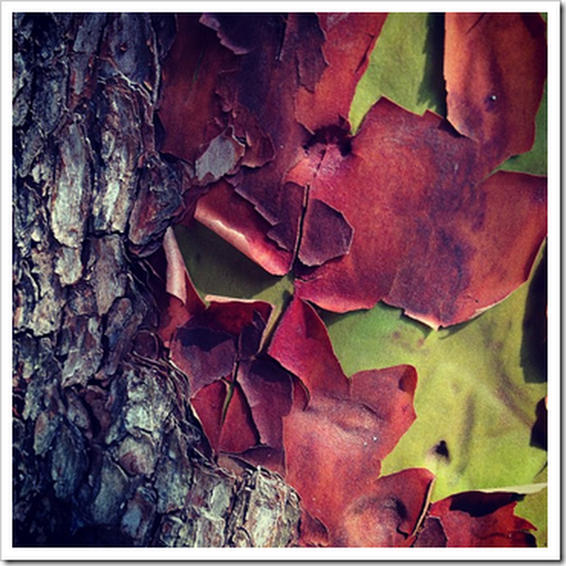 AUTUMN IS HERE! by Ivan Meade in Victoria BC
