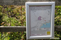 IMG_7972.JPG Photo