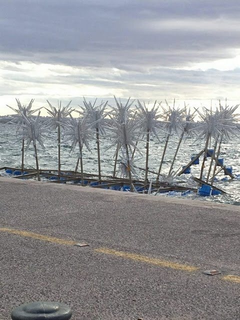 [394667_2739965655005_1133325067_2990481_1037181931_n%255B1%255D%255B4%255D.jpg]