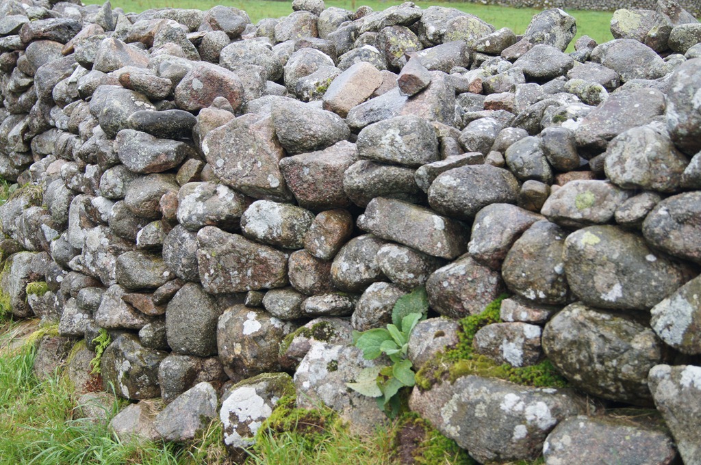 [walls-and-gates-goat-round-stones3.jpg]