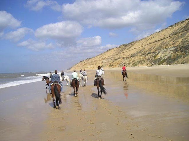 Coto Doñana: Declarado Patrimonio de la Humanidad por la UNESCO