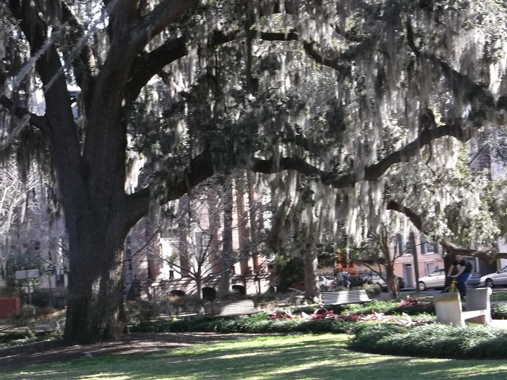 [DSCF14054.jpg]