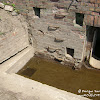 dsc06915.jpg