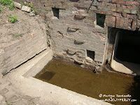 dsc06915.jpg