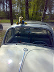 Fahrer
