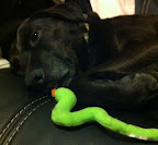 Kissing your favorite stuffed toy is ok too!