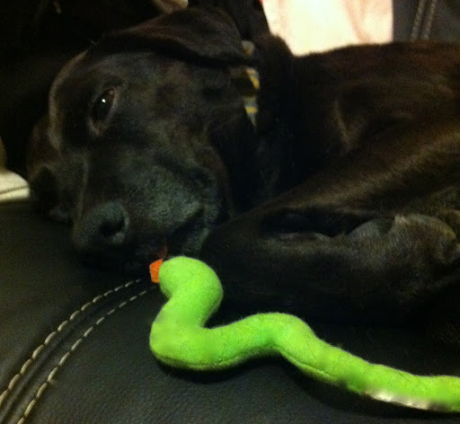 Kissing your favorite stuffed toy is ok too!