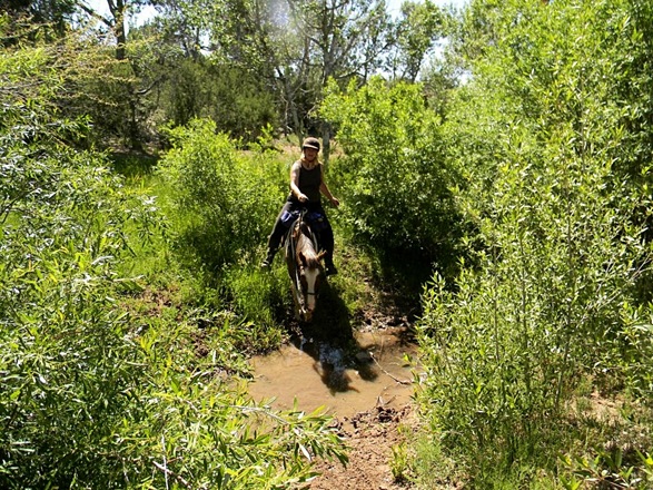[Apache20%255B5%255D.jpg]