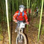PC295453.jpg
