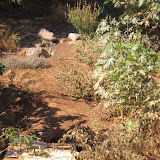IMG_0593.JPG