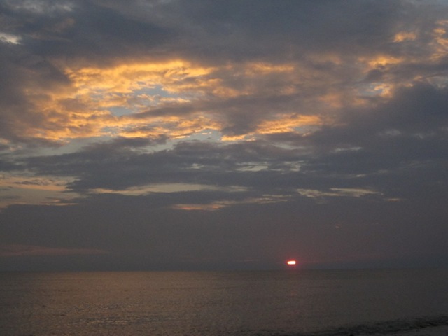[IMG_41831.jpg]
