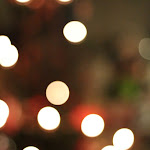 IMG_2297.JPG