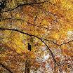DSC_0211.jpg