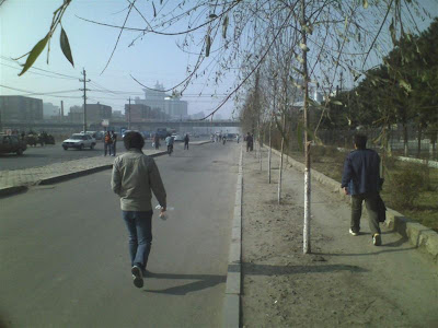 11041113 (Medium).jpg