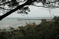 IMG_5164.JPG Photo