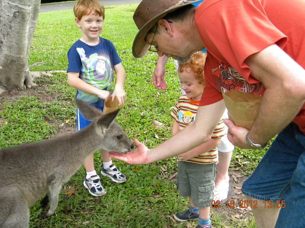[DSCN3218%255B6%255D.jpg]