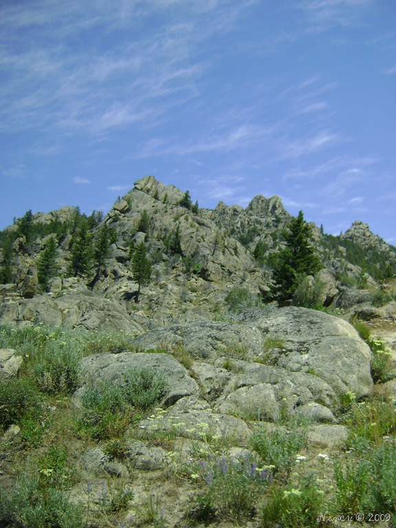 [July-2009-2028.jpg]