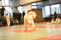 IMG_1213.jpg