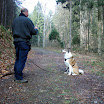 steffen_nanuq_bleib_sitz_1.jpg
