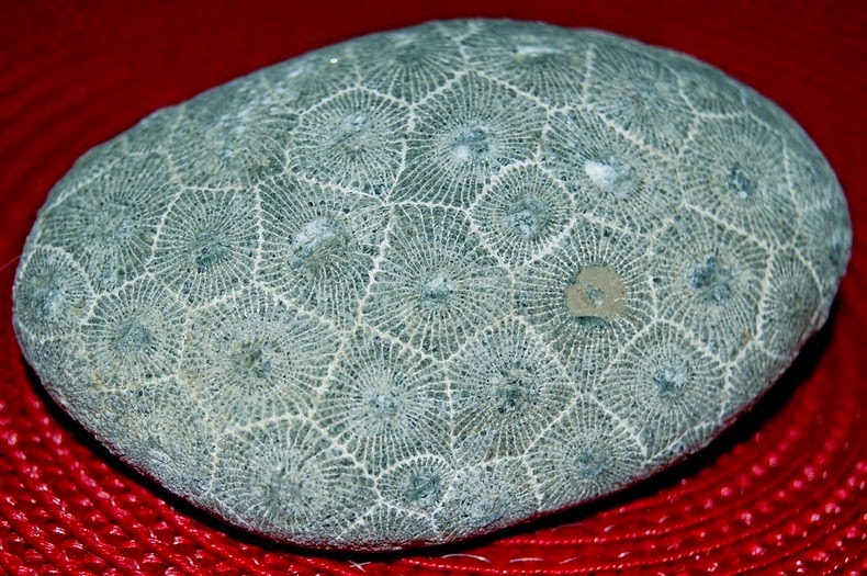 petoskey-stones-2 petoskey-stones-2