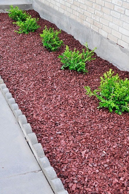 An outdoor curb appeal tutorial for adding boxwoods using landscape fabric.