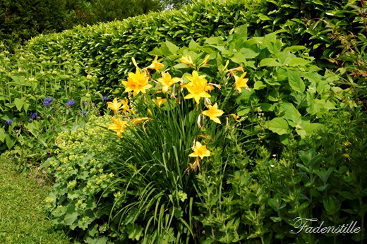 [Wolle%2520Rosen%2520057%255B2%255D.jpg]