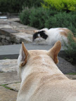 Why is it that you seem to ignore me and just flit off when I make an attempt at being friendly?