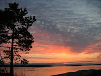 PICT0181.JPG