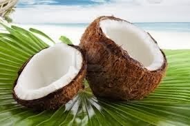 [coconut%255B3%255D.jpg]