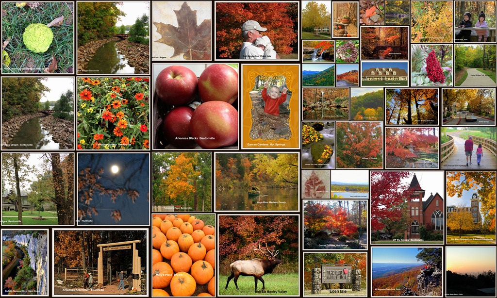 [arkansas%2520collage%255B6%255D.jpg]