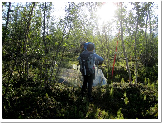 Mitt i skogen hittade vi experiment.