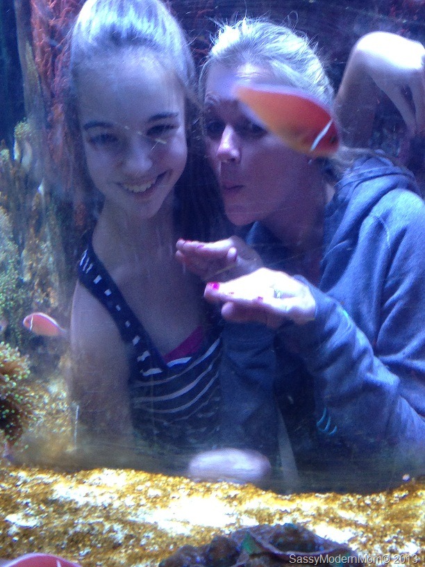 [SeaWorldKS%255B10%255D.jpg]