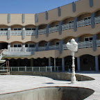 344.jpg