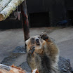 hokkaido_579.jpg