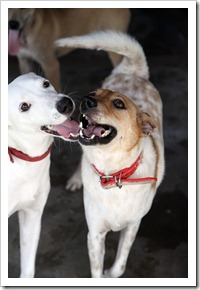 IMG_0315 IMG_0315