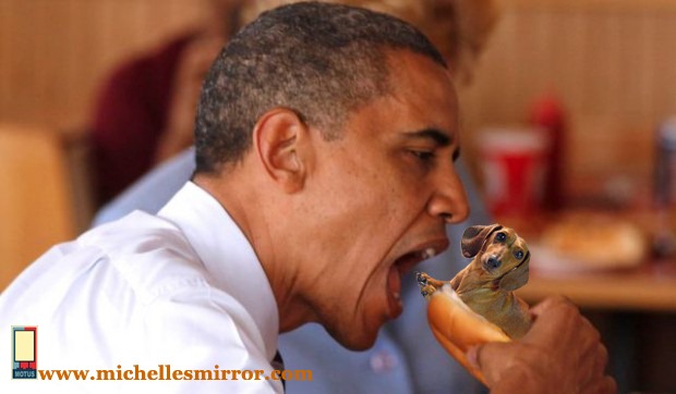 [bo%2520weiner%2520dog%2520copy%255B5%255D.jpg]