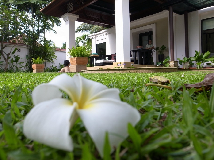 [BanyanTree-08%255B2%255D.jpg]