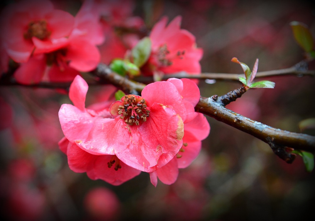 [home%2520and%2520travels_534%255B4%255D.jpg]