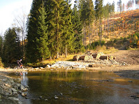 IMG_9131.JPG Photo