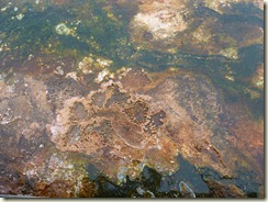 P1000209