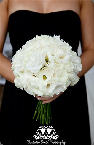 AC_355-Medium  mondo