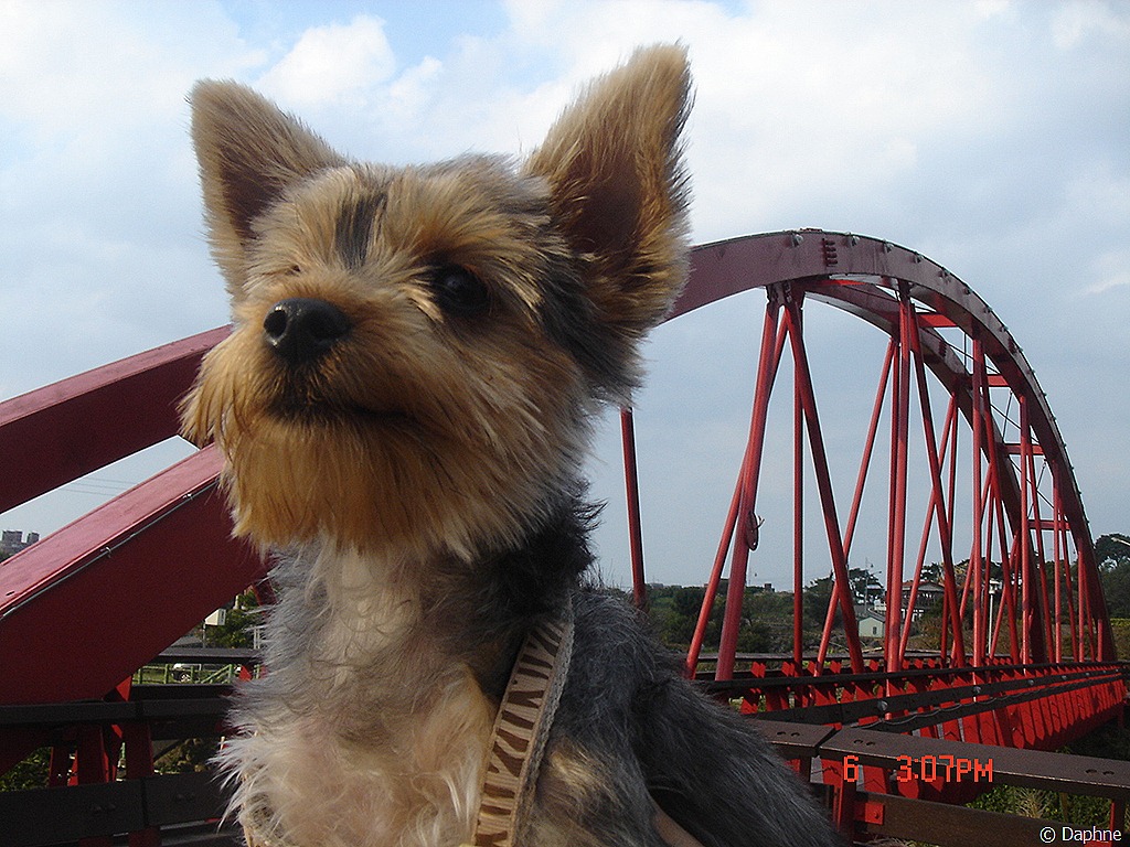 [DSC08806%255B5%255D.jpg]