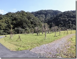 CIMG0071 CIMG0071