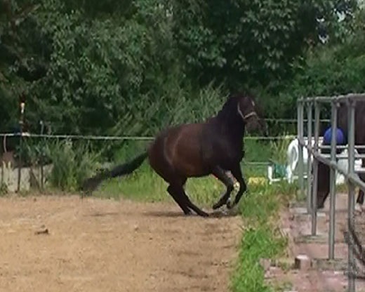 [20110728123831%25284%2529%255B4%255D.jpg]