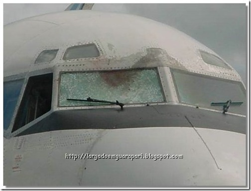 avião acidente (6)