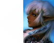 Elf Beauty Girl