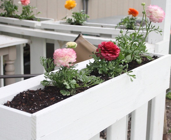 [shabby%2520chic%2520flower%2520boxes%255B3%255D.jpg]